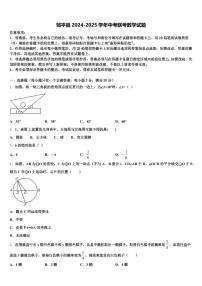 邹平县2024-2025学年中考联考数学试题含解析