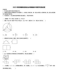 2025年阿坝藏族羌族自治州壤塘县中考数学仿真试卷含解析