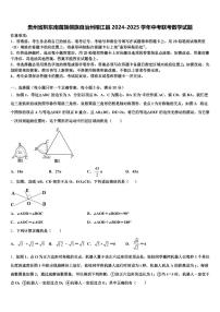 贵州省黔东南苗族侗族自治州榕江县2024-2025学年中考联考数学试题含解析