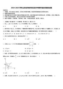 2024-2025学年山东省济南市章丘区中考数学适应性模拟试题含解析