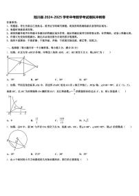 陆川县2024-2025学年中考数学考试模拟冲刺卷含解析