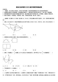 黑龙江省伊春市2025届中考数学四模试卷含解析
