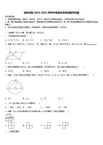 汤旺河区2024-2025学年中考适应性考试数学试题含解析
