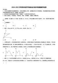 2024-2025学年贵州省毕节地区金沙县中考猜题数学试卷含解析