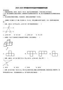 2024-2025学年赣州市寻乌县中考猜题数学试卷含解析
