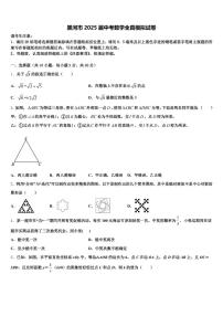 黑河市2025届中考数学全真模拟试卷含解析