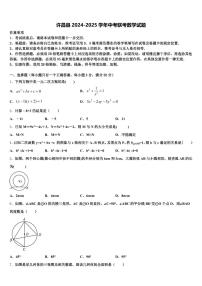 许昌县2024-2025学年中考联考数学试题含解析