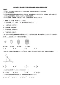2025年山东省临沂市临沭县中考数学适应性模拟试题含解析
