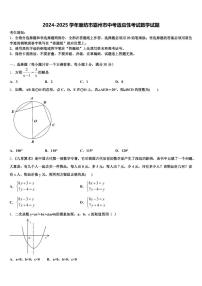 2024-2025学年廊坊市霸州市中考适应性考试数学试题含解析