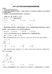 2024-2025学年江苏省中考适应性考试数学试题含解析
