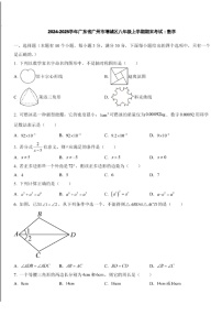 2024-2025学年广东省广州市增城区八年级上学期数学期末考试（含答案）
