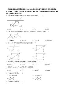 四川省绵阳市东辰国际学校2024-2025学年七年级下学期3月月考数学试卷