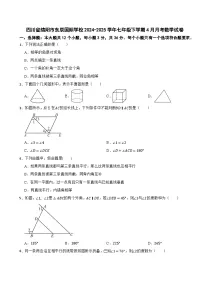 四川省绵阳市东辰国际学校2024-2025学年七年级下学期4月月考数学试卷