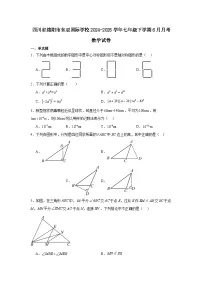 四川省绵阳市东辰国际学校2024-2025学年七年级下学期6月月考数学试卷