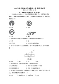 2025年秋人教版八年级数学上册  期中测试卷