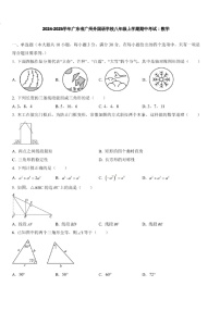 2024-2025学年广东省广州外国语学校八年级上学期数学期末考试（含答案）