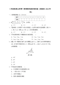 八年级数学上册第一学期期末综合测试卷（湘教版 2024年秋）