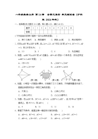八年级数学上册 第14章　全等三角形 单元测试卷（沪科版 2024年秋）