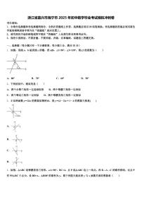 浙江省嘉兴市海宁市2025年初中数学毕业考试模拟冲刺卷含解析