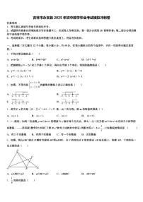 吉林市永吉县2025年初中数学毕业考试模拟冲刺卷含解析