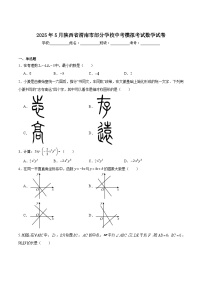 陕西省渭南市部分学校2025届九年级下学期5月中考模拟考试数学试卷(含解析)