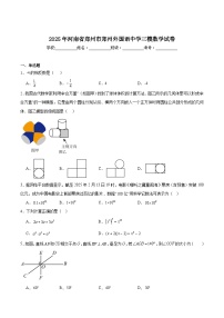 郑州外国语学校2025届九年级下学期三模数学试卷(含解析)