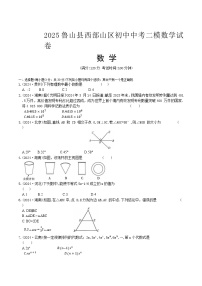 河南省平顶山市鲁山县西部山区2025届九年级下学期中考二模数学试卷(含答案)