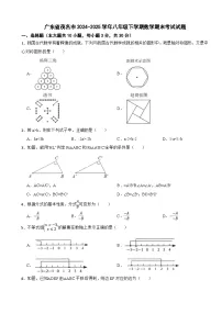 广东省茂名市2024-2025学年八年级下学期数学期末考试试题