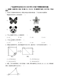 广东省深圳市龙华区2024-2025学年八年级下学期期末数学试题