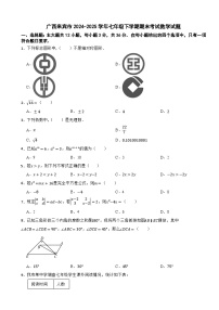 广西来宾市2024-2025学年七年级下学期期末考试数学试题