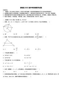 德格县2025届中考四模数学试题含解析