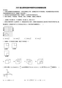 2025届土默特右旗中考数学对点突破模拟试卷含解析