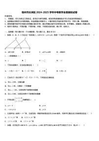梧州市长洲区2024-2025学年中考数学全真模拟试卷含解析