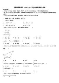 宁夏回族固原市2024-2025学年中考五模数学试题含解析
