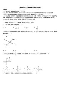 通城县2025届中考一模数学试题含解析