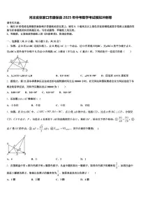 河北省张家口市康保县2025年中考数学考试模拟冲刺卷含解析