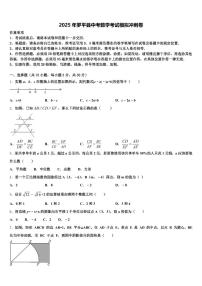 2025年罗平县中考数学考试模拟冲刺卷含解析