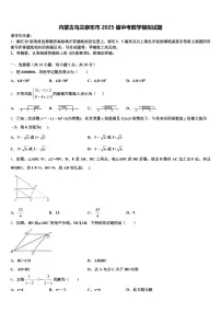 内蒙古乌兰察布市2025届中考数学模拟试题含解析