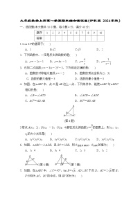 九年级数学上册第一学期期末综合测试卷（沪科版 2024年秋）