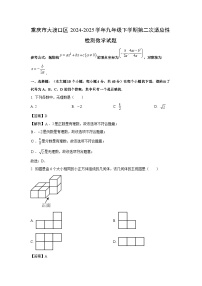 重庆市大渡口区2024-2025学年九年级下学期第二次适应性检测数学试卷（解析版）