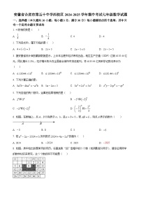 安徽省合肥市第五十中学西校区2024-2025学年期中考试七年级数学试题