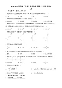 四川省成都市树德实验中学 2024-2025学年七年级上学期期中数学试卷