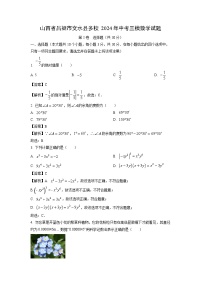 山西省吕梁市文水县多校2024年中考三模[中考模拟]数学试卷（解析版）