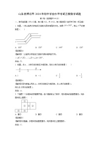 山东省潍坊市2024年初中学业水平考试三模数学试卷（解析版）