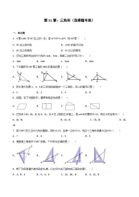 2024版人教版班级上册期末专项练习第11章：三角形（选择题专练）（原卷版）八年级数学人教版
