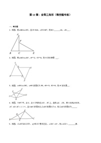 2024版人教版班级上册期末专项练习第12章:全等三角形(填空题专练)(原卷版)八年级数学人教版