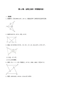 2024版人教版班级上册期末专项练习第12章:全等三角形(简答题专练)(原卷版)八年级数学人教版