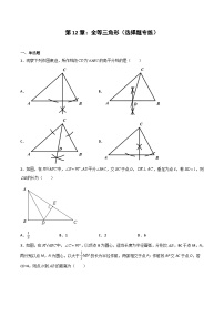 2024版人教版班级上册期末专项练习第12章：全等三角形（选择题专练）（原卷版）八年级数学人教版