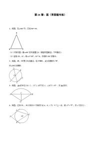 2024版人教版九年级上册期末专项练习第24章：圆（简答题专练）（原卷版）九年级数学人教版