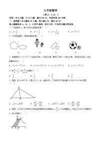 【九上HK数学】安徽省长丰县部分学校2024-2025学年上学期期中考试九年级数学试卷